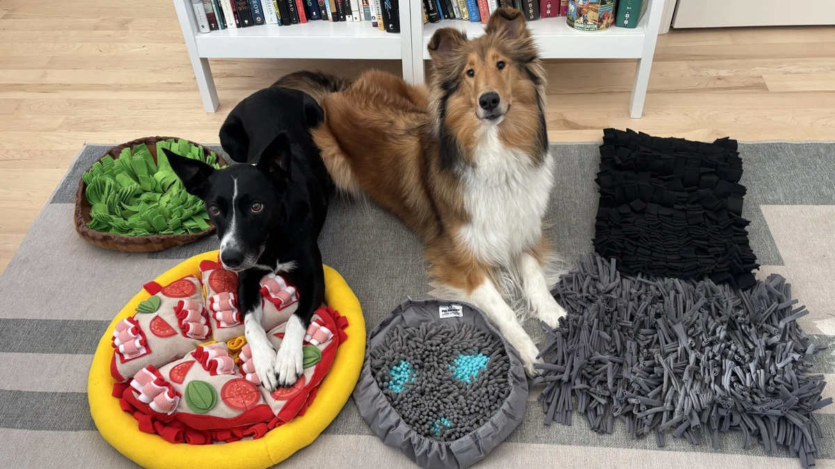 Snuffle Mat for Dogs – Enrichment Feeding Mat