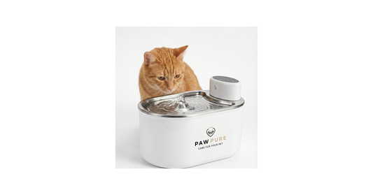 Automatic Pet Water Fountain – Quiet & Filtered
