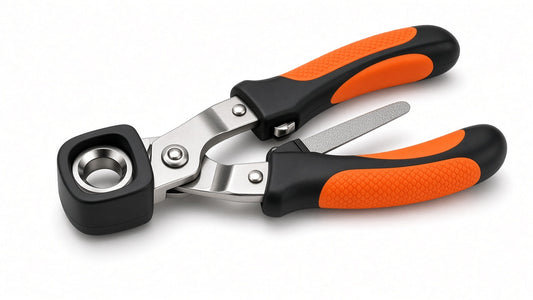 Studio product hero: pet nail clippers set with file on white